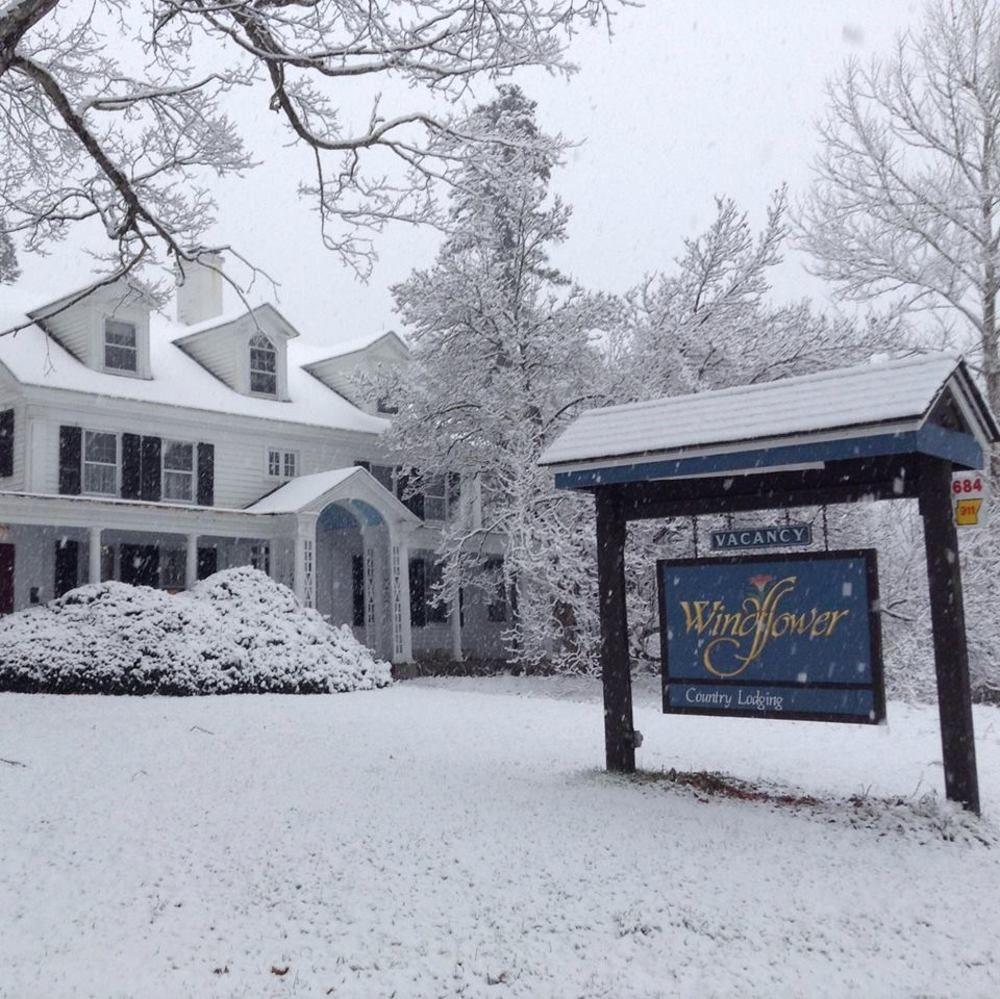 Windflower Inn Great Barrington Buitenkant foto